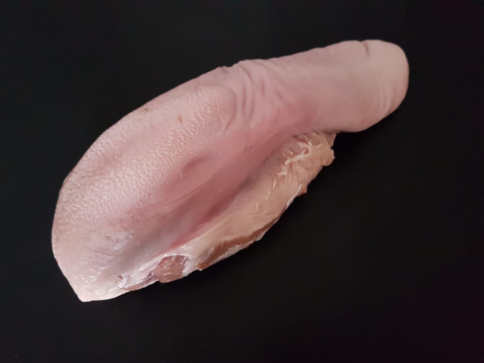 Tongue
